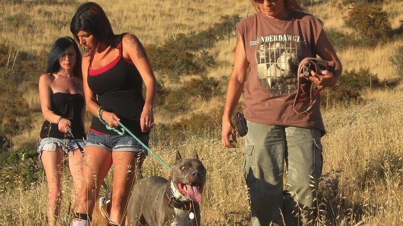 Tia führt Tania und Mariah zu der letzten Ruhestätte des unbekannten Hundes aus New Orleans, LA. – Bild: Discovery Communications Inc /​ 44 Blue Productions Inc