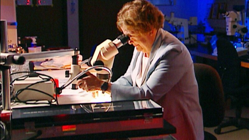 Dr. Buck entdeckt, dass die Grashalm-Sorte auf der Leiche nur auf dem Bahamas-Golfplatz Emerald vorkommen. – Bild: TVNOW