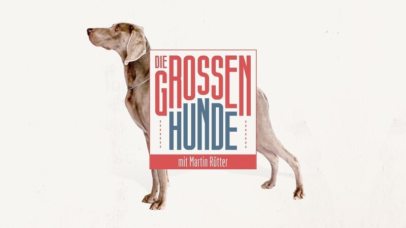 Logo zu „Die großen Hunde – mit Martin Rütter“ – Bild: RTL