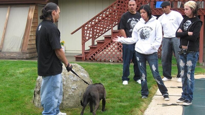 Tania performs a home check at Jesse’s house in Montana. – Bild: Discovery Communications Inc