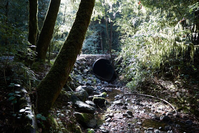 Bach im Wald – Bild: OTF /​ © Crime + Investigation /​ OTF