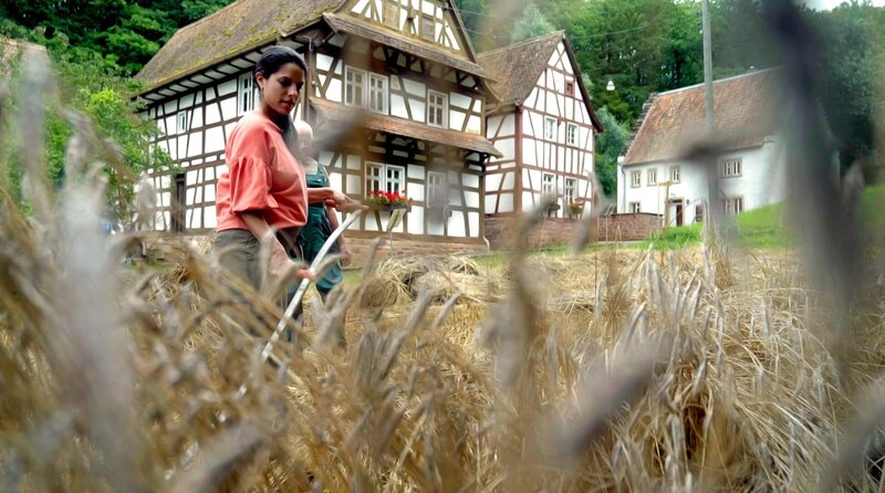 Arbeit wie früher: Clarissa hilft bei der Getreideernte mit der Sense. – Bild: Radio Bremen, WDR/​Marina Schnieders