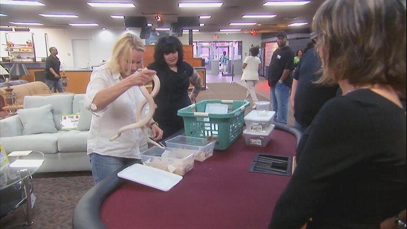 as seen in Hardcore Pawn – Bild: Warner Bros. Discovery