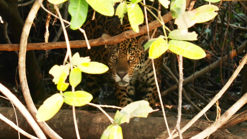 Bild: Discovery Communications, LLC