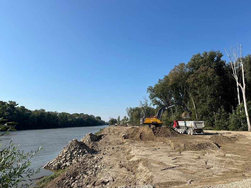 Jeder Baum zählt: Neue Ideen für die Rettung der Wälder – Bild: Torsten Mehltretter, Mehltretter /​ ZDF und Torsten Mehltretter, Meh
