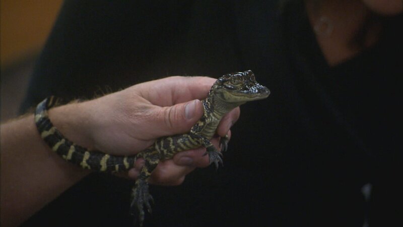 . – Bild: Warner Bros. Discovery