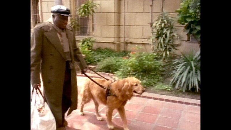 Blindenhund Buff ist seinem Herrchen Lloyd Weeks (Bill Henderson) seit vielen Jahren treu ergeben. Eines Tages schlägt Buff ein jämmerliches Geheul an … – Bild: RTL Zwei