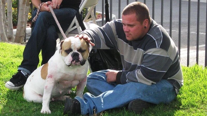 Tania and Billy take Creature to the dog park. – Bild: Discovery Communications Inc /​ 44 Blue Productions Inc