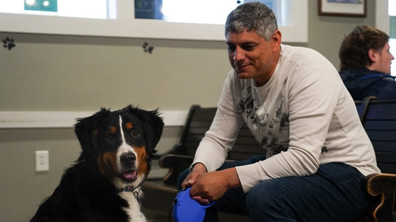 Mylow brought into clinic by owner with ear infection. – Bild: Discovery Communications, LLC