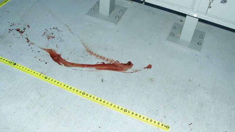 Spurensicherung am Tatort – Bild: TVNOW /​ © 2020 Cable News Network, Inc.