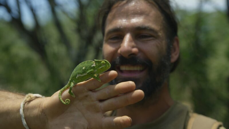 Hazen hält ein Chamäleon. (National Geographic für Disney) – Bild: National Geographic for Disney /​ Disney