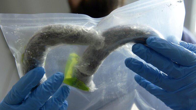 HSI Special Agent Patrick examines cocaine disguised as sausages. (National Geographic/​Lucky 8 TV) – Bild: 2020 NGC Network US, LLC Lizenzbild frei