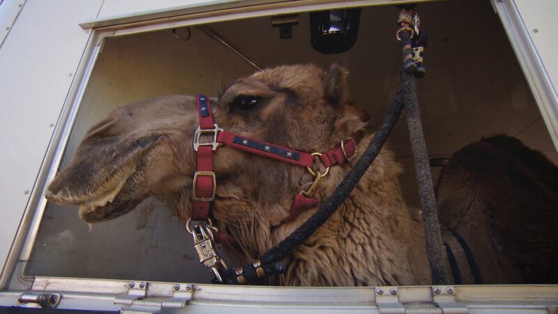 . – Bild: Warner Bros. Discovery