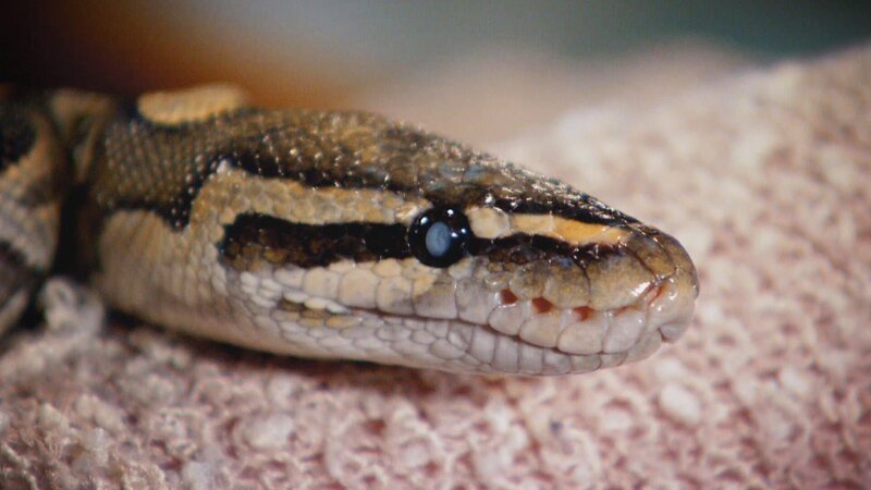 . – Bild: Warner Bros. Discovery