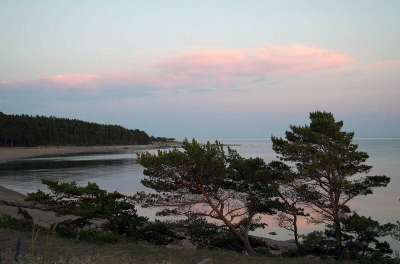 In der Musik des estnischen Komponisten Erkki-Sven Tüür klingen Bilder seiner Heimatinsel Hiiumaa nach: die Dämmerung auf einer Waldlichtung, einsame Strände und die tiefe Ostsee. – Bild: Elephant Doc