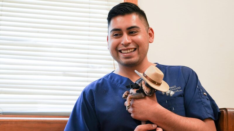 Jeff and the team travel to Pineridge Reservation, South Dakota, to spay and neuter cats and dogs. – Bild: Discovery Communications, LLC