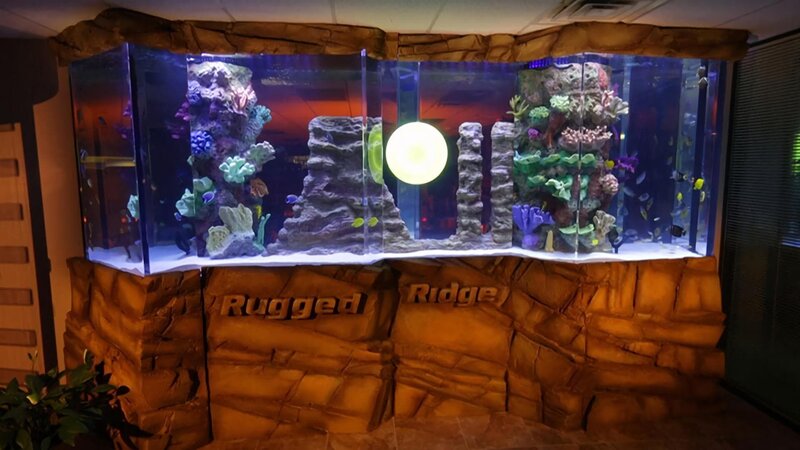 6,800-liter fish tank with an artificial rock landscape. – Bild: Animal Planet
