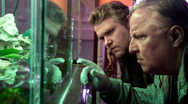 Spurensicherung am Tatort. In der Kanzlei des ermordeten Rechtsanwalts erkennt Kommissar Frank Thiel (Axel Prahl, r.) und sein Assistent Mirko Schrader (Björn Meyer, l.), dass auch das Aquarium in Mitleidenschaft gezogen wurde. Gute Nachricht: Die beiden Goldfische haben überlebt. – Bild: WDR/​Thomas Kost