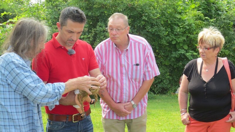 Verkauf Puppen_v.li. Wolfgang Klein, Mauro Corradino (Moderator)und Interessenten – Bild: RTL II