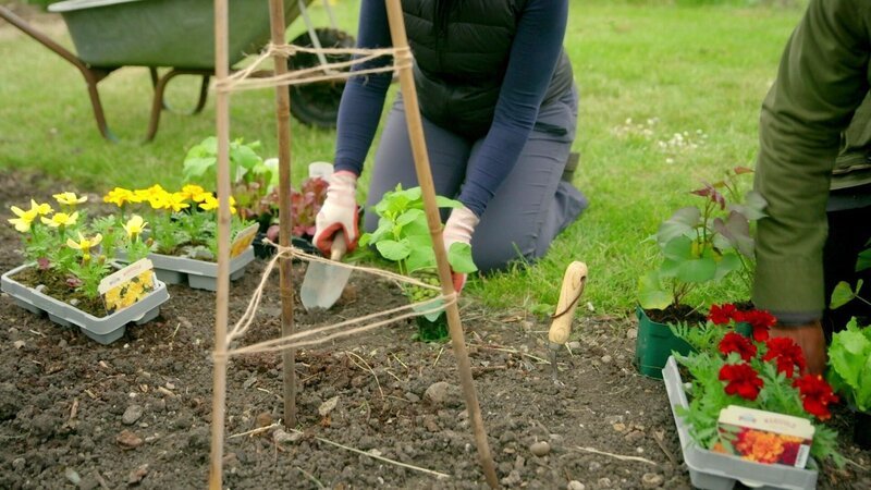 Bild: Foto: RTL