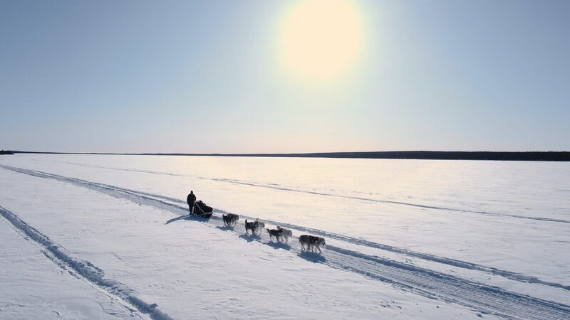 Michael Manzo auf dem Weg zu seinem Karibu-Jagdgebiet mit seinem Hundeschlittenteam. (National Geographic/​John Griber) – Bild: John Griber /​ National Geographic/​John Griber /​ National Geographic