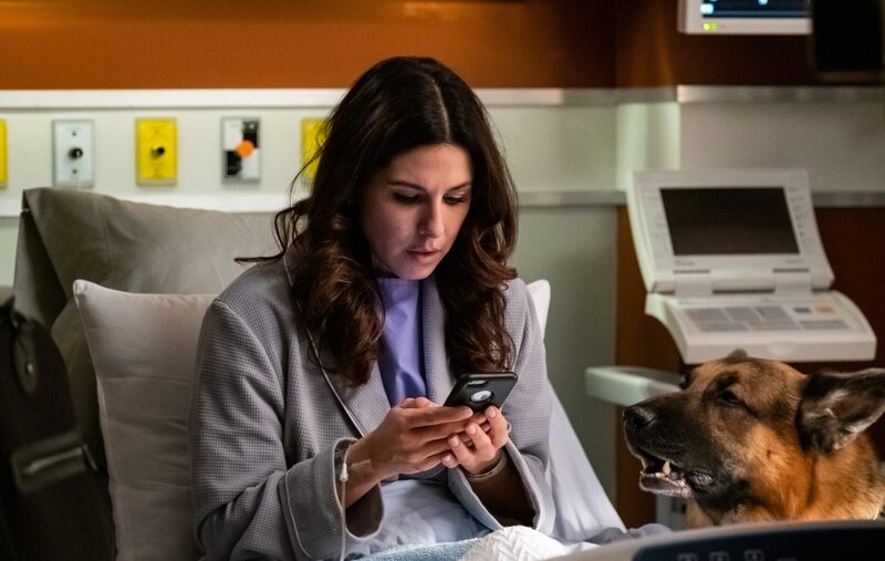 Officer Maya Power (CRISTINA ROSATO) in hospital with Rex (DIESEL VOM BURGIMWALD – Bild: Shaftesbury/​Pope Productions /​ Derm Carberry