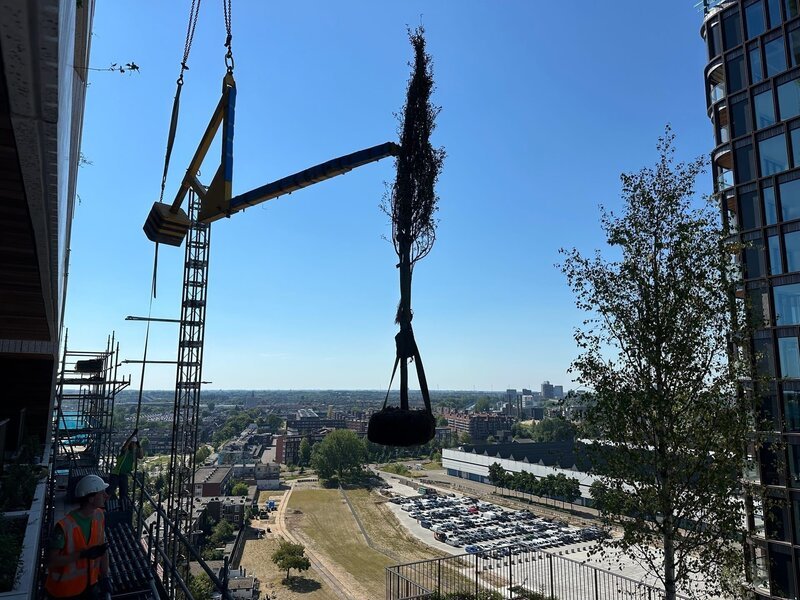 Mit dem Kran kommt einer von mehr als 300 Bäumen, an seinen Platz an der Außenwand des Hochhauses in der Utrechter Innenstadt. – Bild: ZDF und Torsten Mehltretter, Mehltretter Media GmbH