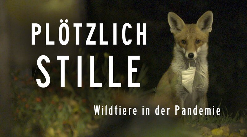 Titel / Plötzlich Stille – Bild: MDR/inonemedia/Roland Gockel Titel / Plötzlich Stille – Bild: MDR/inonemedia/Roland Gockel