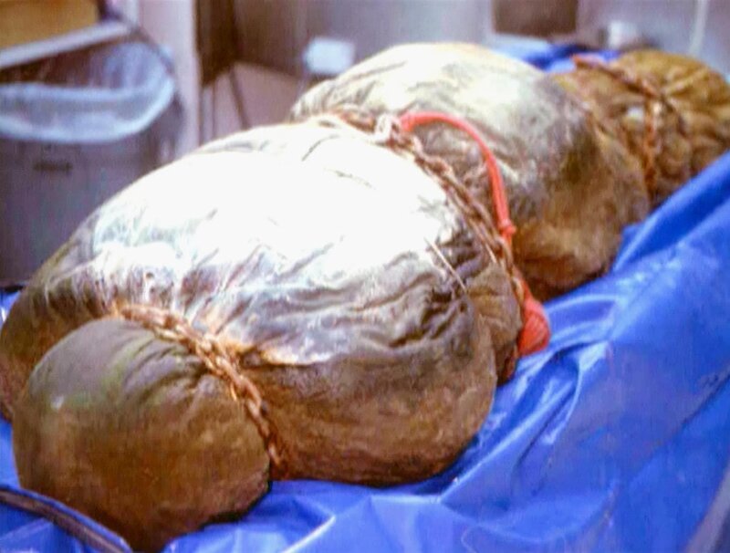 In einem See wird die Leiche einer Frau gefunden. Handelt es sich um die seit langem vermisste Tramperin? – Bild: RTL