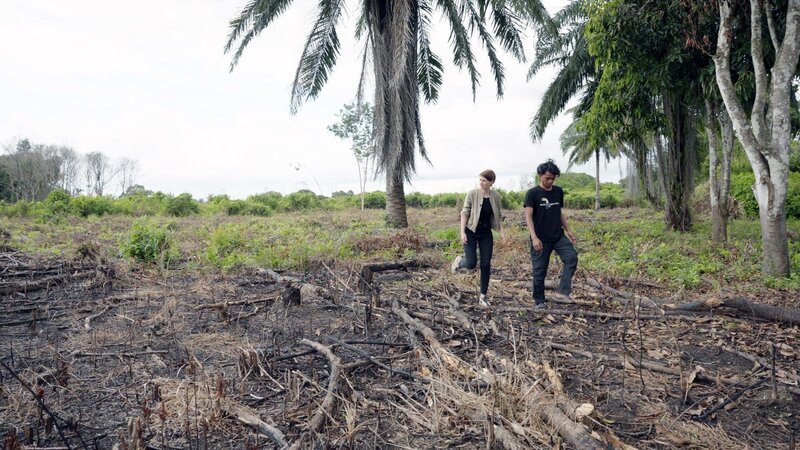 Weltweit Korrespondentin Vanessa Böttcher berichtet aus Indonesien und dokumentiert, dass in einem der größten Waldschutzprojekte der Welt großflächige Waldbrände stattgefunden haben. – Bild: ZDF