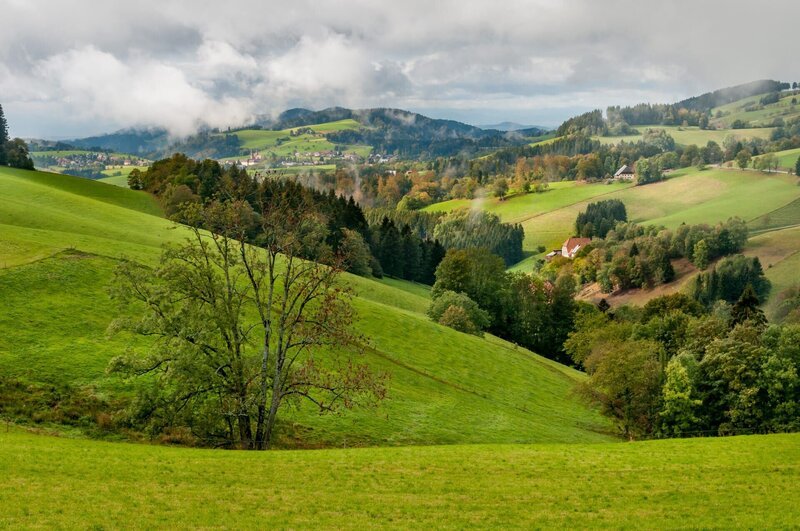 Black Forest landscape in Germany. – Bild: Frank Cornfield