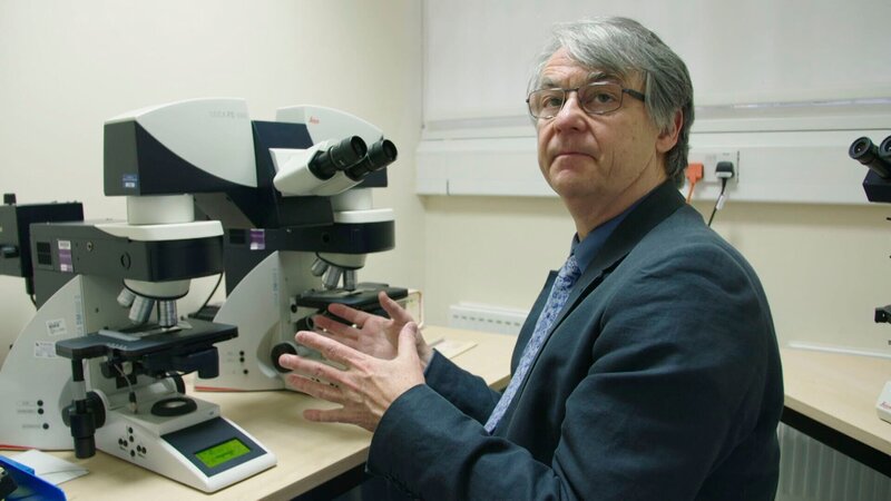 Der Forensiker. – Bild: Crime + Investigation