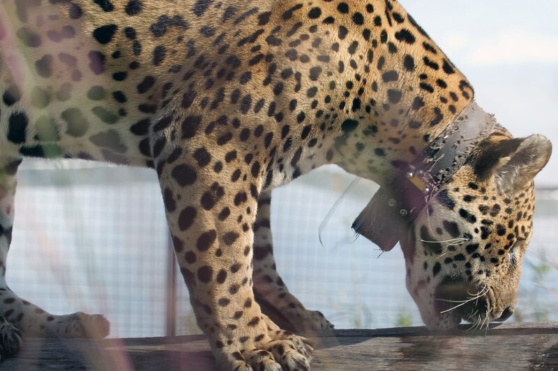 Das Filmteam um Autorin Cuini Amelio Ortiz mit Kameramann Sergio Gazzera und Toningenieur Frank Schmitt mit ihrer Protagonistin Maite Rios Noya und einer Kollegin. – Bild: MedienKontor/​Javier Palicio