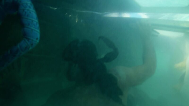 Joe Teti im Wasser. – Bild: Warner Bros. Discovery