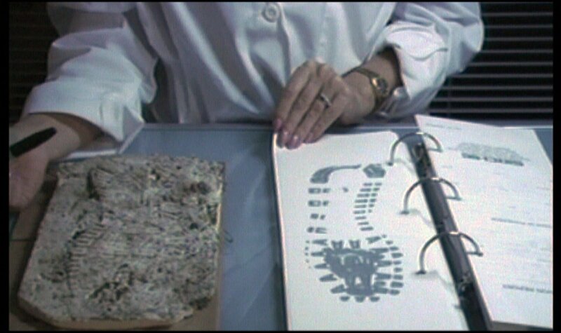 Tödliche Eifersucht – Jack findet seine Freundin Carol erschlagen in ihrer Wohnung. Sofort wird Jacks Ex-Freundin verdächtigt. Seit Wochen belästigt sie Jack bereits mit Anrufen und Liebesbriefen. Im Garten des Hauses finden die Beamten jedoch eine andere Spur. – Bild: RTL II