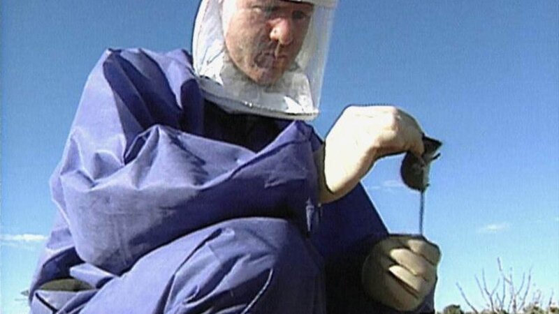 Forscher entdecken, dass das Ehepaar Bahe sowie zwölf andere Opfer durch Rotwildmäuse mit dem Hanta-Virus infiziert wurden. – Bild: RTL