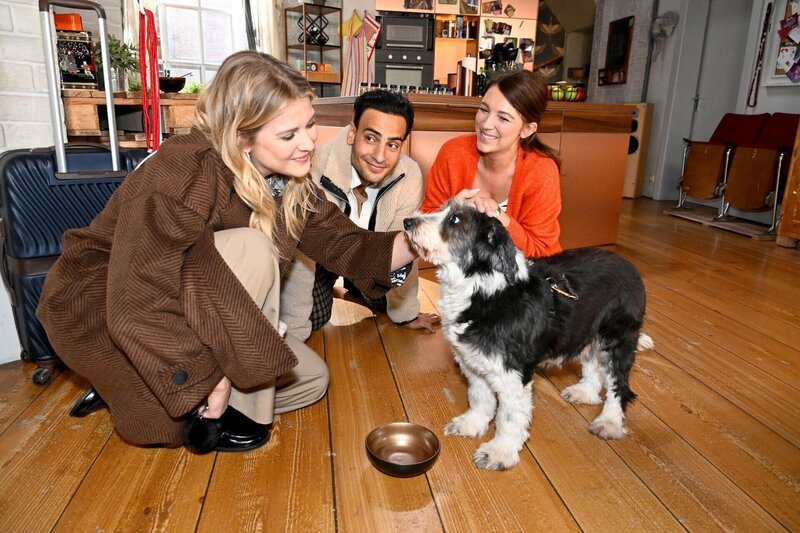 Der Straßenhund aus Mallorca stiehlt Nihat (Timur Ülker) bei seiner Rückkehr die Show. Links Alicia (Josefin Bressel), rechts Lilly (Iris Mareike Steen) – Bild: RTL /​ Rolf Baumgartner