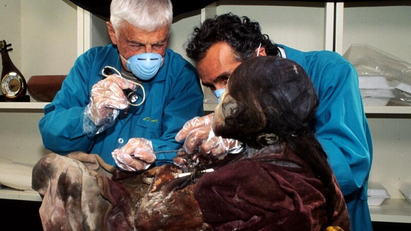 Bild: Licensed by BOAT ROCKER RIGHTS, Inc.