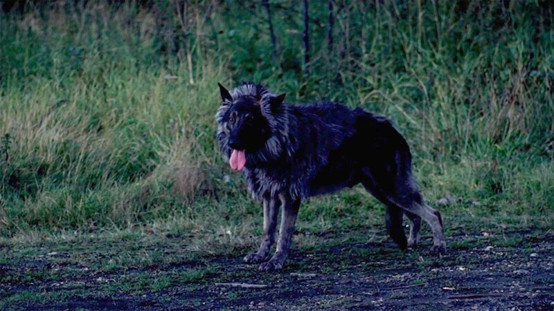 . – Bild: Silverline . – Bild: Silverline