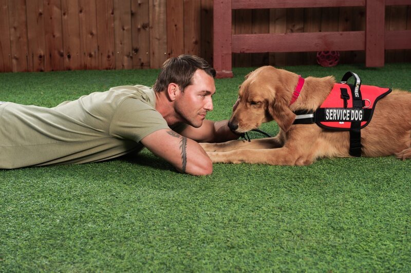 Der Hundetrainer Brandon McMillan hat es sich zur Aufgabe gemacht, schwer vermittelbare Hunde aus dem Tierheim zu holen, sie zu trainieren und für jedes Tier anschließend das passende neue Zuhause zu finden … – Bild: Jaime Klein
