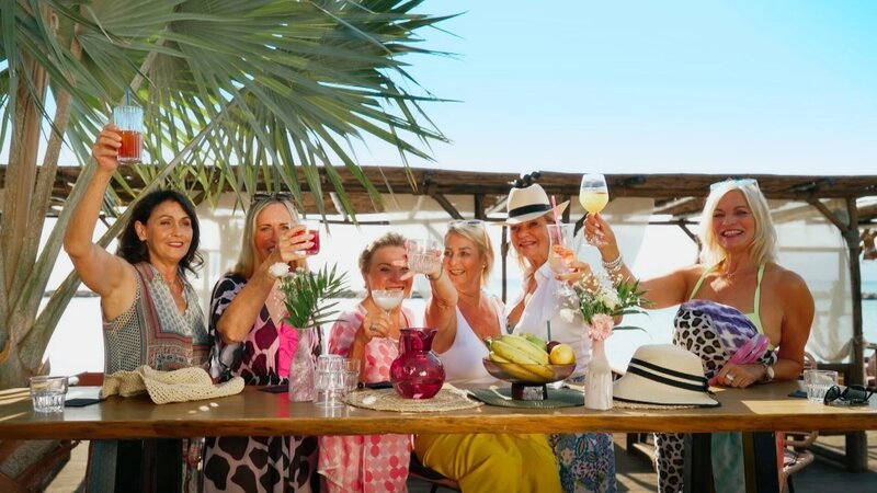 (v.l.) Ute Sch., Birgit T., Sabine St., Britta, Christin, Birgit L. erheben die Gläser – Bild: RTL /​ Folge 1