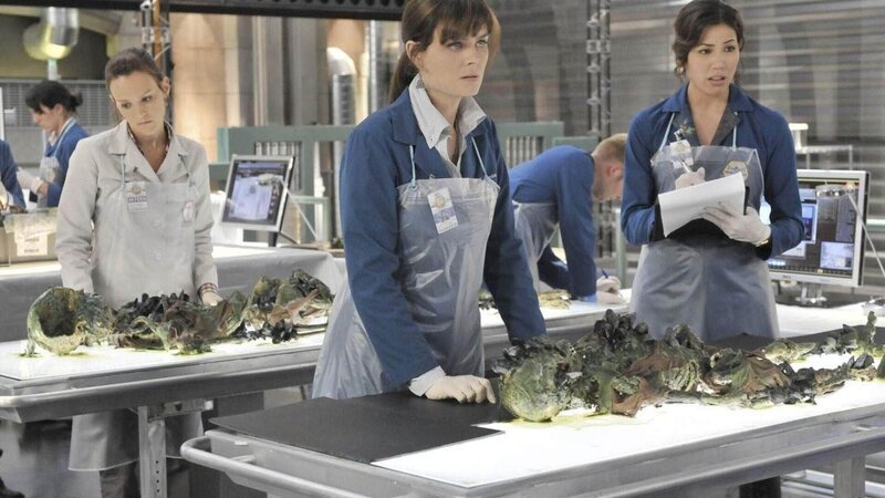 Gemeinsam mit Daisy (Carla Gallo, l.) und Angela (Michaela Conlin, r.) versucht Brennan (Emily Deschanel) die geborgenen Überreste eines alten Sklavenschiffes zu identifizieren und mit der Frachtliste abzugleichen. – Bild: TVNOW /​ FOX