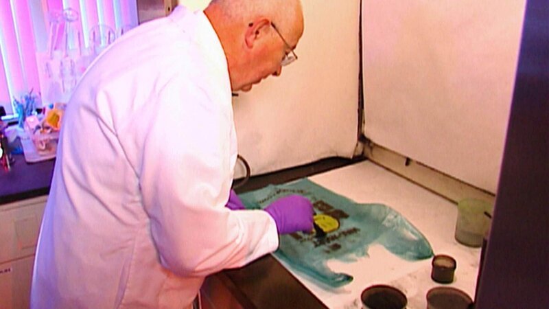 Ein Paar Handschuhe mit Blutflecken und die Nadeln einer Pinie überführen den Mörder. – Bild: TVNOW