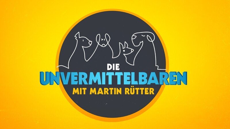 Das Logo zur Sendung: Die Unvermittelbaren – Mit Martin Rütter. – Bild: RTL