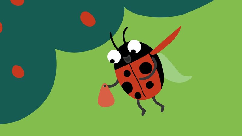 Der rote Marienkäfer kommt angeflogen. – Bild: KiKA/​SWR/​/​Julia Ocker