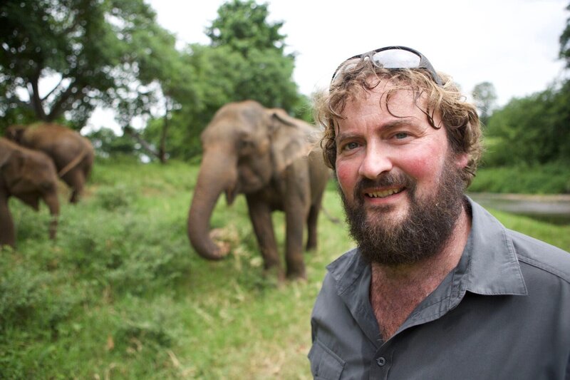 Paul O’Donoghue im Elefantenkrankenhaus. – Bild: RTL /​ © Maverick TV & All3Media International