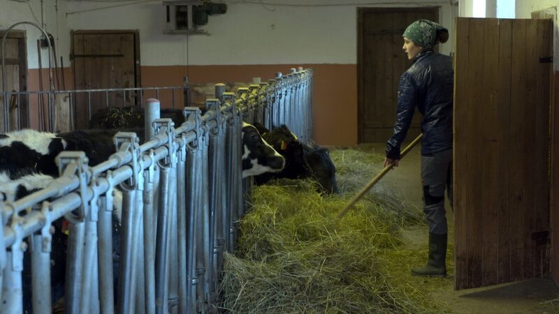 Schattenschupferhof. – Bild: ORF/​Pammer Film