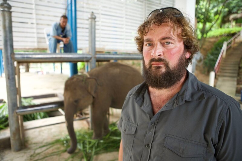Paul O’Donoghue im Elefantenkrankenhaus. – Bild: RTL /​ © Maverick TV & All3Media International