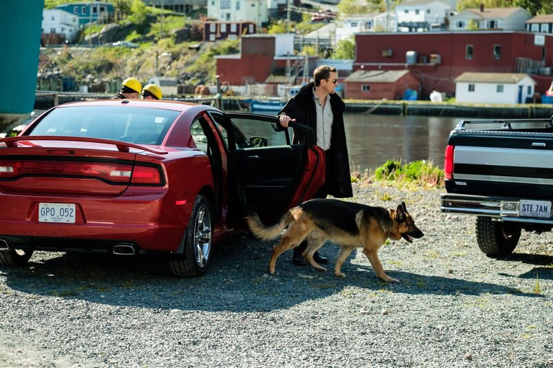 Charlie Hudson (John Reardon) und Rex – Bild: Derm Carberry /​ D.CARBERRY