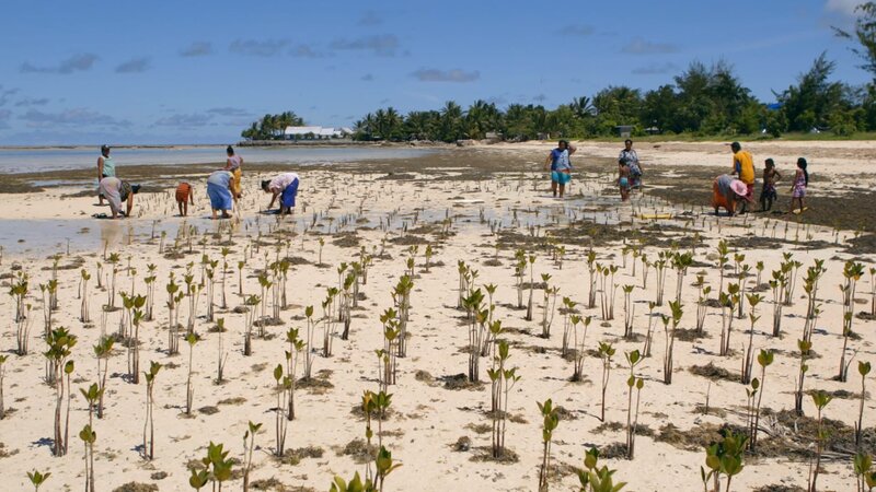 Bild: Curiosity Channel